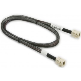 CBL-SAST-0590