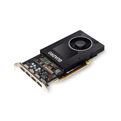 PNY NVIDIA Quadro P2200 5GB