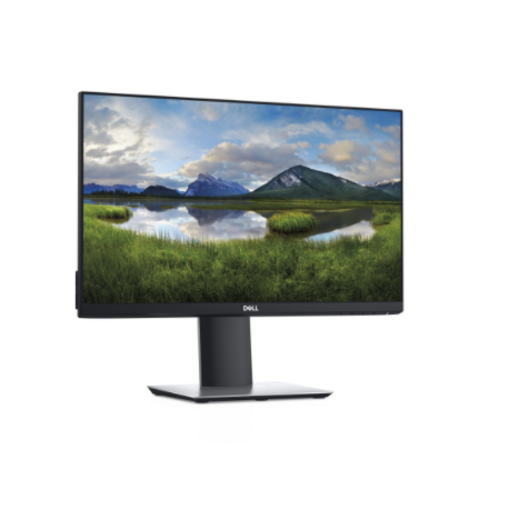 Monitor Dell P2219H 210-APWR 21,5 cala